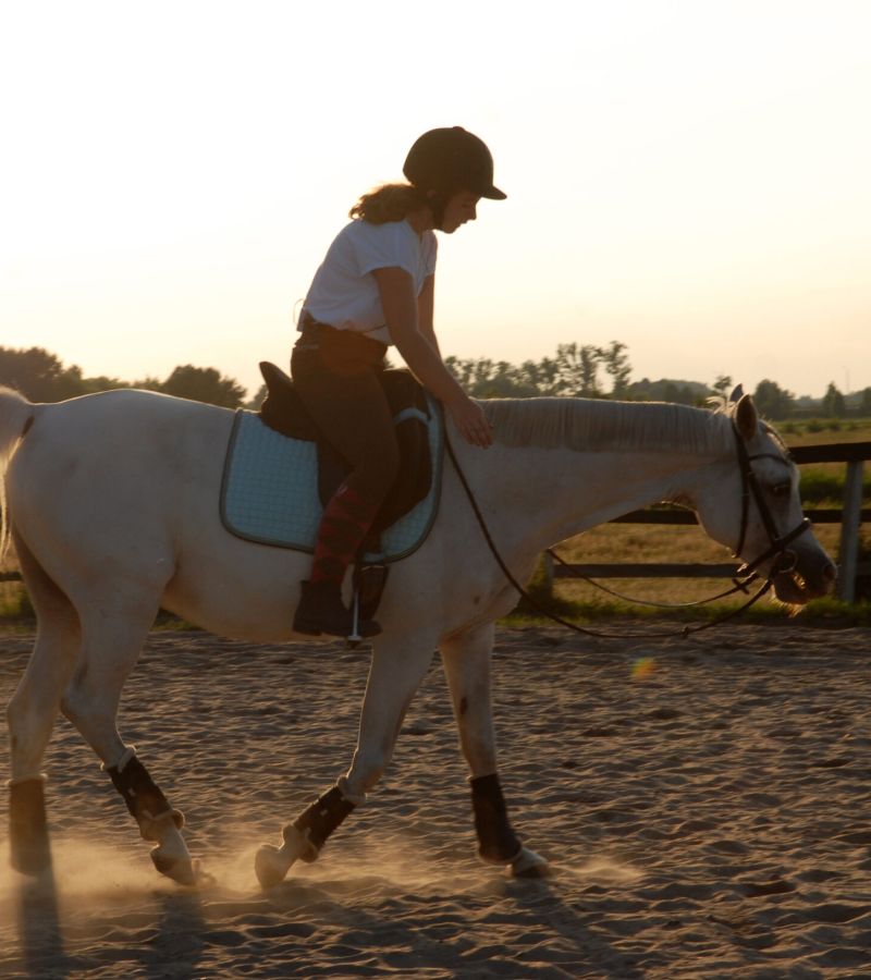 Trening pary koń + jeździec Anna Laskowska Horseimpression.pl