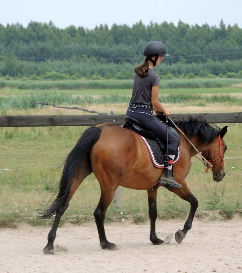 Trening pary koń + jeździec Anna Laskowska Horseimpression.pl
