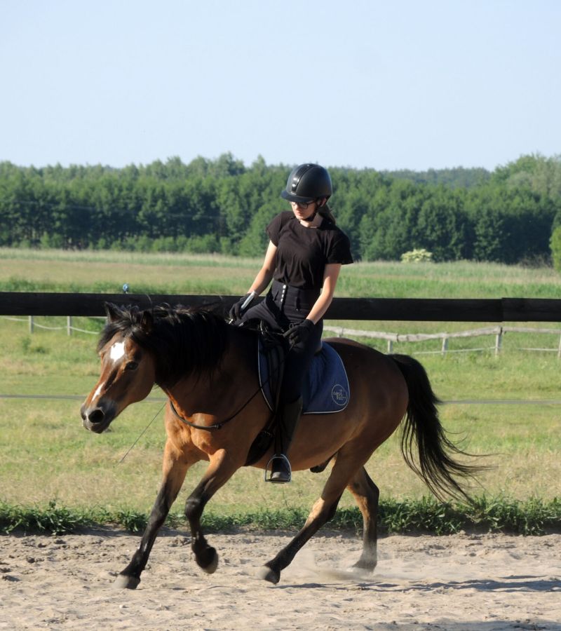  Trening jeźdźca