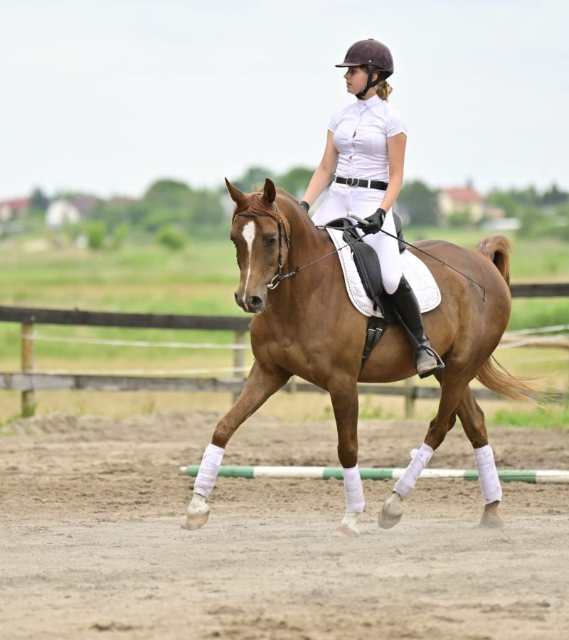  Trening jeźdźca Anna Laskowska