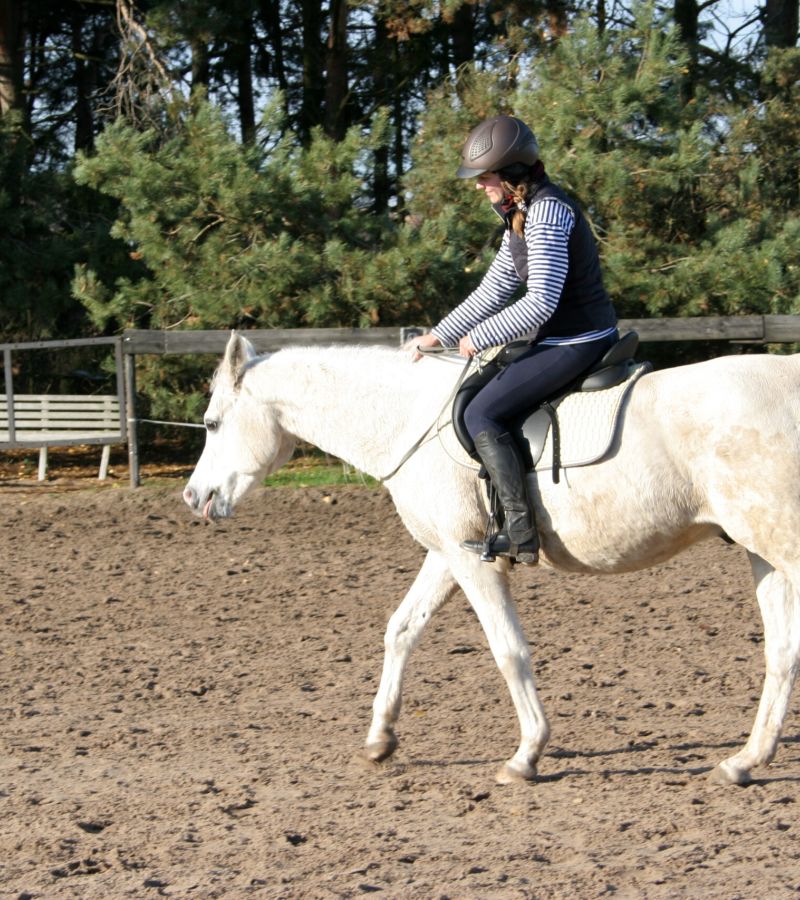 Trening pary koń + jeździec Anna Laskowska Horseimpression.pl