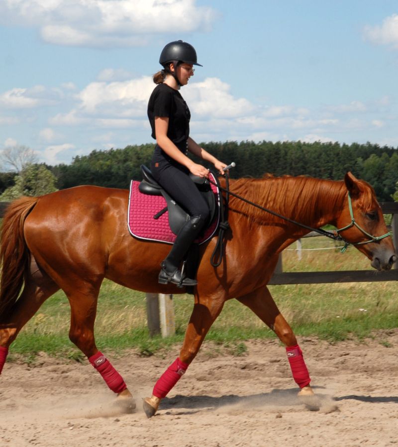  Trening jeźdźca