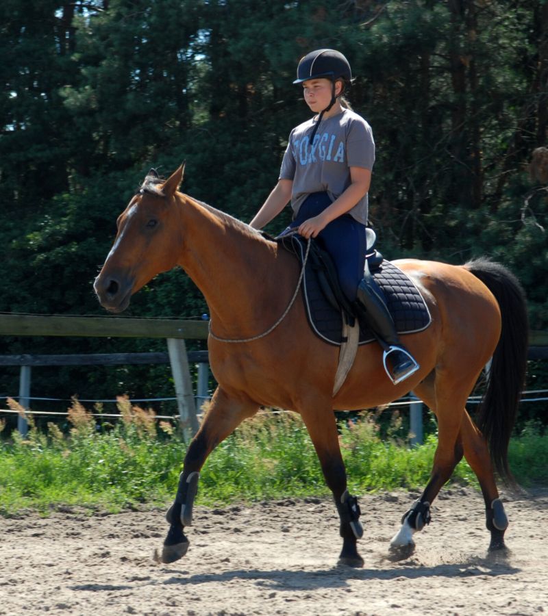  Trening jeźdźca