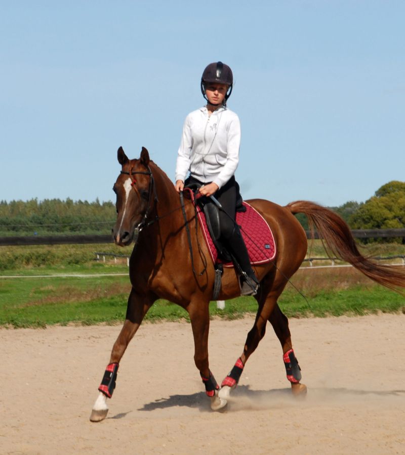 Trening jeźdźca Anna Laskowska